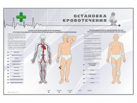 Электрифицированный стенд "Остановка кровотечения" - fgospostavki.ru - Владикавказ