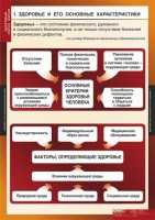 Комплект таблиц. ОБЖ. Здоровый образ жизни. - fgospostavki.ru - Владикавказ