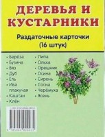 Раздаточные карточки "Деревья и кустарники" - fgospostavki.ru - Владикавказ