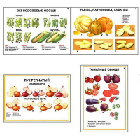 Плакаты ПРОФТЕХ "Ассортимент овощных культур" (12 пл, винил, 70х100) - fgospostavki.ru - Владикавказ