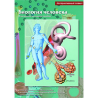 Интерактивные плакаты. Биология человека. Программно-методический комплекс - fgospostavki.ru - Владикавказ