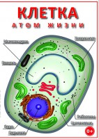 DVD "Клетка - "атом жизни" - fgospostavki.ru - Владикавказ