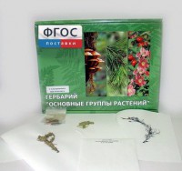 Гербарий "Основные группы растений" (52 листа) - fgospostavki.ru - Владикавказ