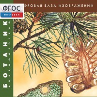 Ботаника. Микрофотографии. (Цифровая база изображений) - fgospostavki.ru - Владикавказ
