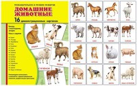 Демонстрационные карточки "Домашние животные" - fgospostavki.ru - Владикавказ