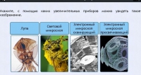 Интерактивные курсы. Биология 5 класс. Расширенный - fgospostavki.ru - Владикавказ