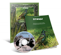 Электронное наглядное пособие «Птицы» - fgospostavki.ru - Владикавказ