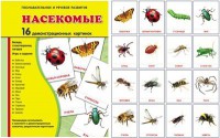 Демонстрационные карточки "Насекомые" - fgospostavki.ru - Владикавказ