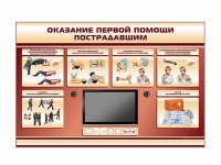Многофункциональный интерактивный стенд-тренажер "Оказание первой помощи пострадавшим" для учащихся общеобразовательных учреждений - fgospostavki.ru - Владикавказ