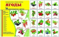 Демонстрационные карточки "Ягоды" - fgospostavki.ru - Владикавказ