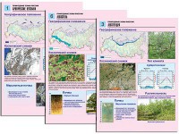 Комплект таблиц по географии "Природные зоны России" раздаточные (цветные, ламинированные, А4, 10 штук) - fgospostavki.ru - Владикавказ