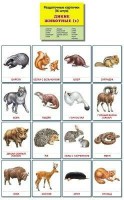 Раздаточные карточки "Дикие животные (1)" - fgospostavki.ru - Владикавказ
