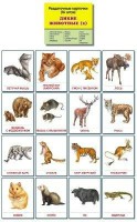 Раздаточные карточки "Дикие животные (2)" - fgospostavki.ru - Владикавказ