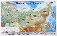 Магнитные карточки "Животные" - fgospostavki.ru - Владикавказ