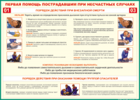 Таблица "Порядок действий при внезапной смерти" (100х140 сантиметров, винил) - fgospostavki.ru - Владикавказ