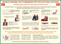 Таблица "Порядок действий при переломах конечностей" (100х140 сантиметров, винил) - fgospostavki.ru - Владикавказ