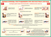 Таблица "Порядок действий при ранениях и термических ожогах" (100х140 сантиметров, винил) - fgospostavki.ru - Владикавказ
