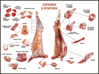 Таблица "Правила разделки мясных туш. Баранина и ягнятина" (100х140 сантиметров, винил) - fgospostavki.ru - Владикавказ