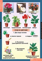 Комплект таблиц. Окружающий мир 1 класс. - fgospostavki.ru - Владикавказ