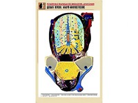 Рельефная таблица "Долька печени. Макро-микростроение" (формат А1, матовое ламинирование) - fgospostavki.ru - Владикавказ