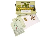Гербарий "Для начальной школы" (30 видов, с иллюстрациями) - fgospostavki.ru - Владикавказ