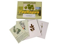 Гербарий "Деревья и кустарники" (22 вида, с иллюстрациями) - fgospostavki.ru - Владикавказ
