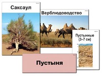 Модель-аппликация "Природные зоны России" (ламинированная) - fgospostavki.ru - Владикавказ