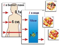 Модель-аппликация "Явление радиоактивности" (ламинированная) - fgospostavki.ru - Владикавказ