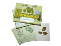 Гербарий "Дикорастущие растения" (30 видов, с иллюстрациями) - fgospostavki.ru - Владикавказ