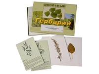 Гербарий "Лекарственные растения" (22 вида с иллюстрациями) - fgospostavki.ru - Владикавказ