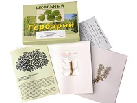 Гербарий "Водоросли. Грибы. Лишайники" (раздаточный) - fgospostavki.ru - Владикавказ