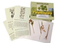 Гербарий "Систематика растений. Семейство Бобовые. Злаки" (раздаточный) - fgospostavki.ru - Владикавказ
