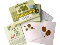 Гербарий "Систематика растений. Семейство Розоцветные" (раздаточный) - fgospostavki.ru - Владикавказ