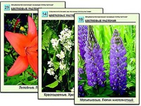 Гербарий фотографический "Основные группы растений" - fgospostavki.ru - Владикавказ