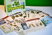 Гербарий к курсу основ общей биологии - fgospostavki.ru - Владикавказ