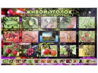 Комплект оборудования "Живой уголок" (растения) с тифлопереводом и сурдокомментариями - fgospostavki.ru - Владикавказ
