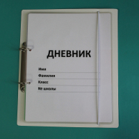 Дневник школьника (с полным набором карточек) - fgospostavki.ru - Владикавказ