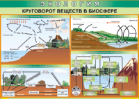 Таблица "Круговорот веществ в биосфере" (100х140 сантиметров, винил) - fgospostavki.ru - Владикавказ