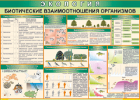 Таблица "Биотические взаимоотношения организмов" (100х140 сантиметров, винил) - fgospostavki.ru - Владикавказ