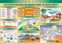 Таблица "Антропогенное воздействие на биосферу" (100х140 сантиметров, винил) - fgospostavki.ru - Владикавказ
