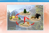 Интерактивные курсы. Биология 7 класс. Базовый. - fgospostavki.ru - Владикавказ