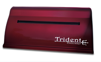 Принтер для печати рельефно-точечным шрифтом Брайля Trident - fgospostavki.ru - Владикавказ