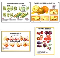 Плакаты ПРОФТЕХ "Ассортимент овощных культур" (12 пл, винил, 70х100) - fgospostavki.ru - Владикавказ