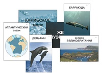 Модель-аппликация "Океаны. Знакомство" (ламинированная) - fgospostavki.ru - Владикавказ