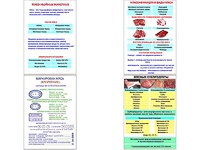 Плакаты ПРОФТЕХ "Классификации и виды мяса" (4 пл, винил, 70х100) - fgospostavki.ru - Владикавказ