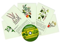 Интерактивный наглядный комплекс "Гербарий "Для начальной школы" - fgospostavki.ru - Владикавказ