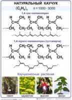 Комплект демонстрационных таблиц по химии "Полимеры" (комплект 12 таблиц) - fgospostavki.ru - Владикавказ