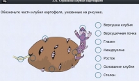 Интерактивные курсы. Биология 6 класс. Расширенный - fgospostavki.ru - Владикавказ