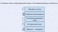 Интерактивные курсы. Русский язык 7 класс . Базовый. - fgospostavki.ru - Владикавказ