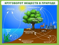 Стенд "Круговорот веществ" - fgospostavki.ru - Владикавказ